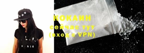дживик Бронницы
