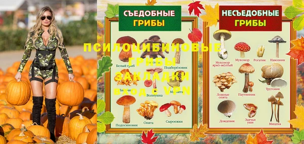 хмурый Верея