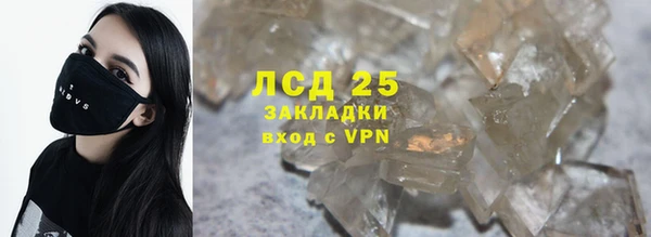 хмурый Верея