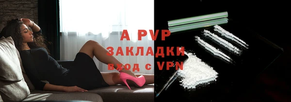 гидра Волоколамск